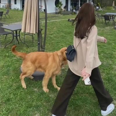 神探勇闯毒龙潭